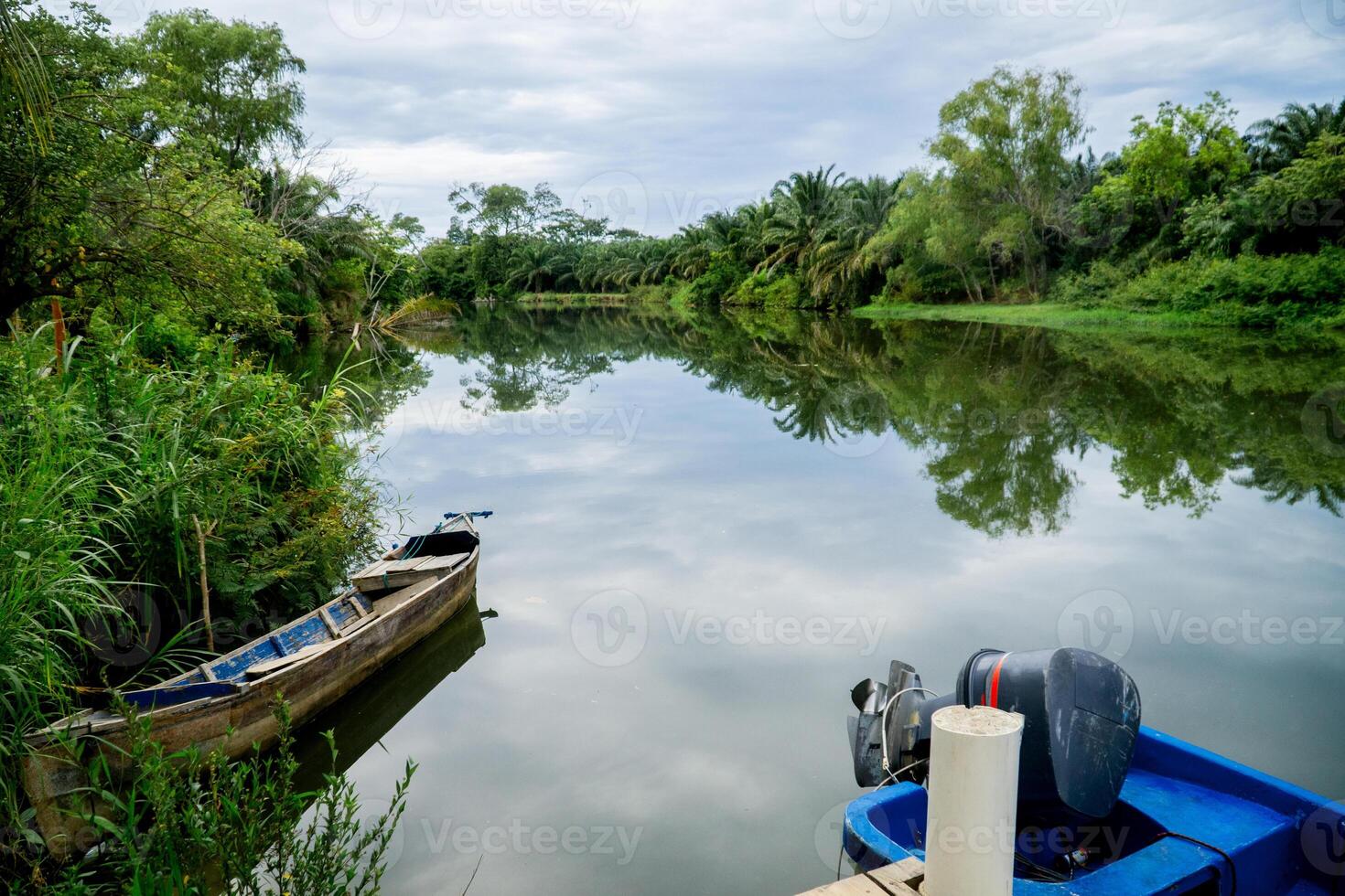 Lake of Nueva Armenia with a lot african palm next to the river. Contamination and deforestation concept. photo
