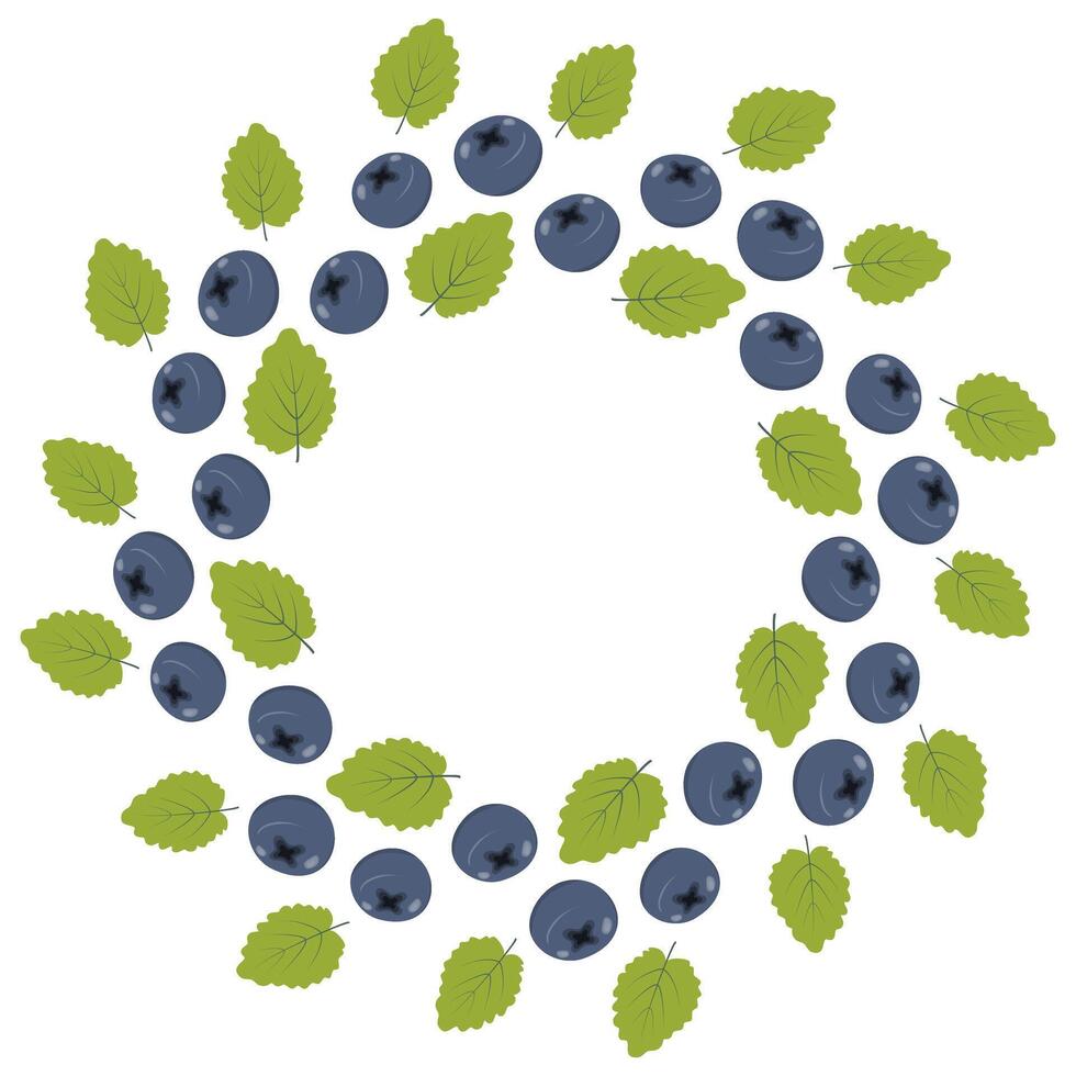 Blueberries or bilberries with green mint leaves Abstract round frame border. Copy space. Template. Isolated illustration Cards, poster, leaflet, brochure, banner, price tag, label or web promo vector