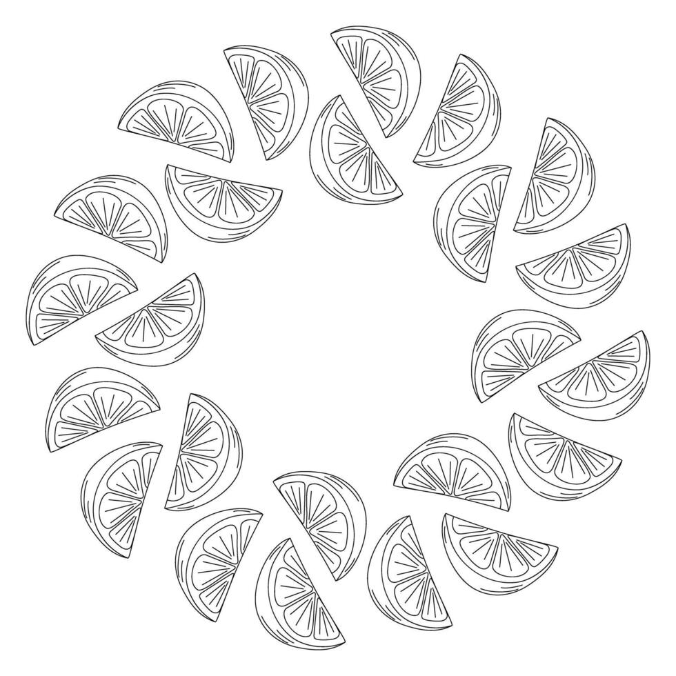 Outline Citrus slices Abstract round frame border in trendy minimalistic style. Template. Copy space. Isolated illustration Cards poster, banner, label, price tag, leaflet or web promo backdrop vector
