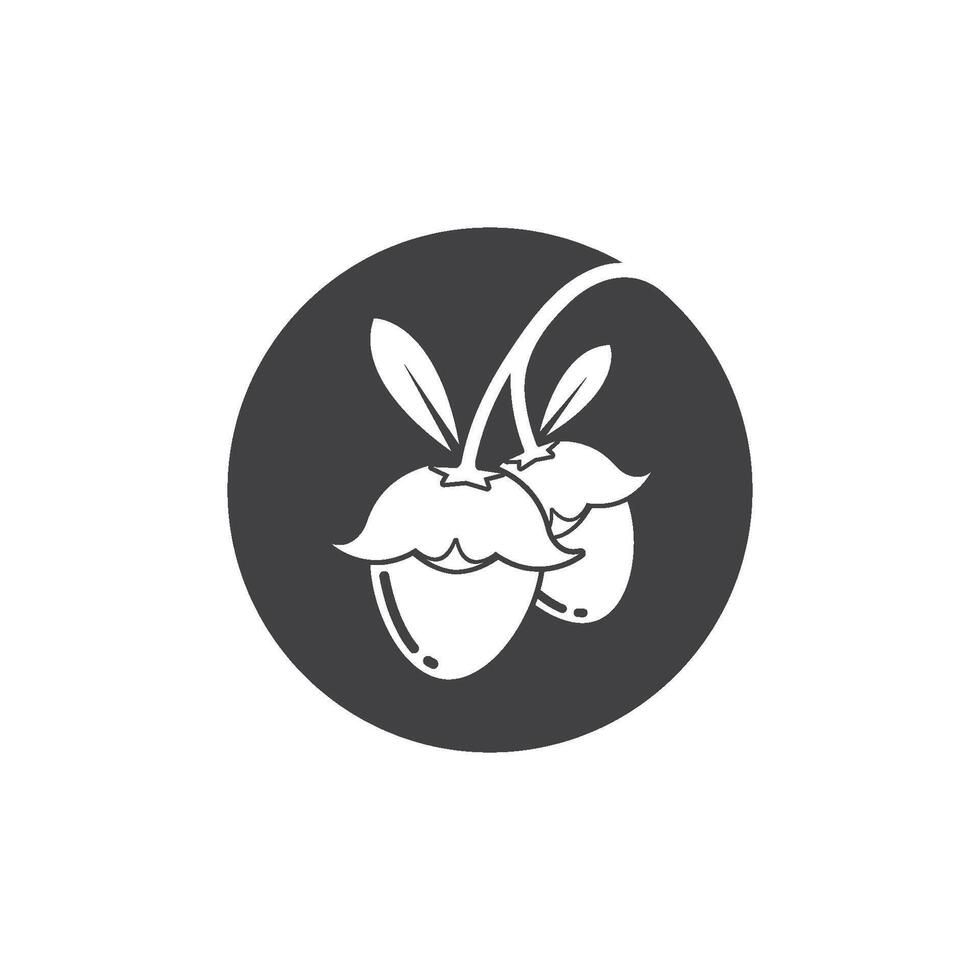 jojoba nuts illustration design vector