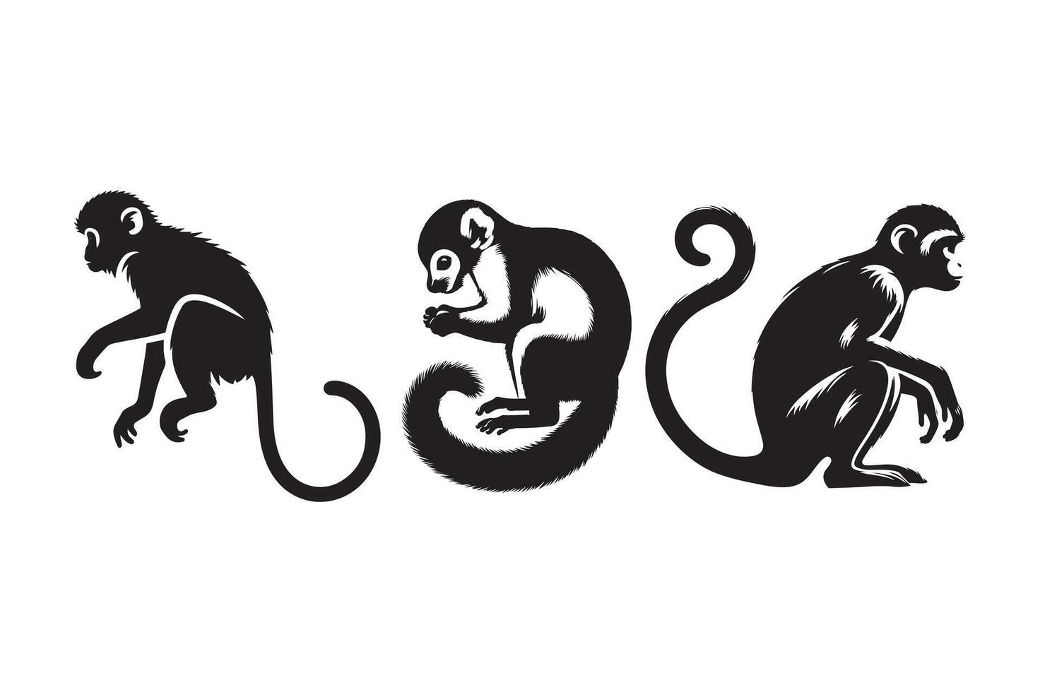 Three monkeys are shown in black and white vector
