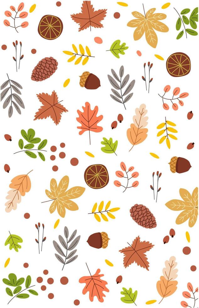 Autumn background of dry leaves walnuts on white vector