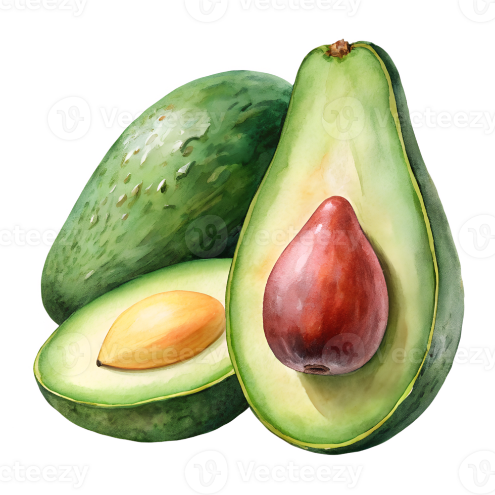 Watercolor hand drawn Avocado and halves isolate on transparency background png