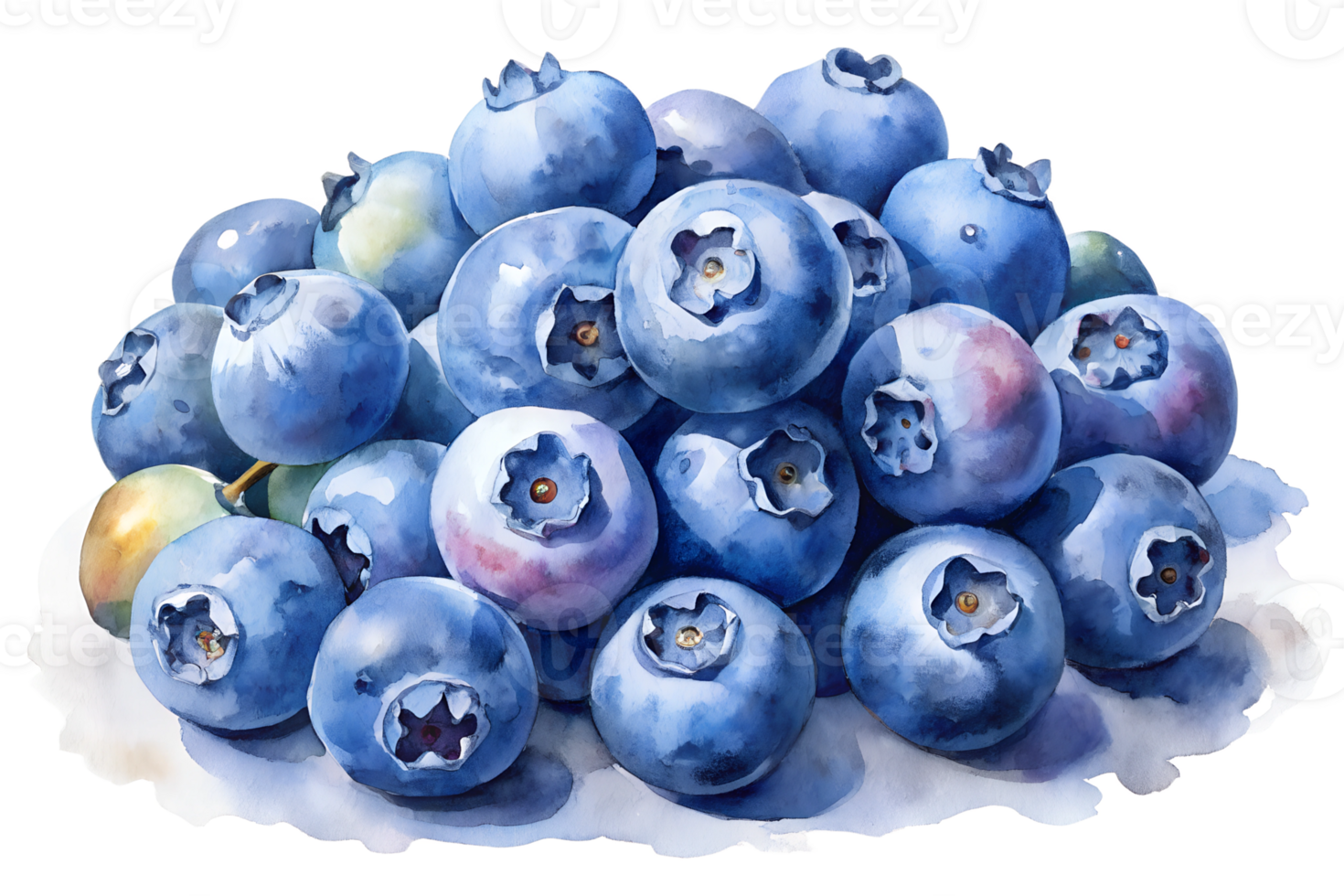 Watercolor hand drawn Lots of blueberrys isolate on transparency background png