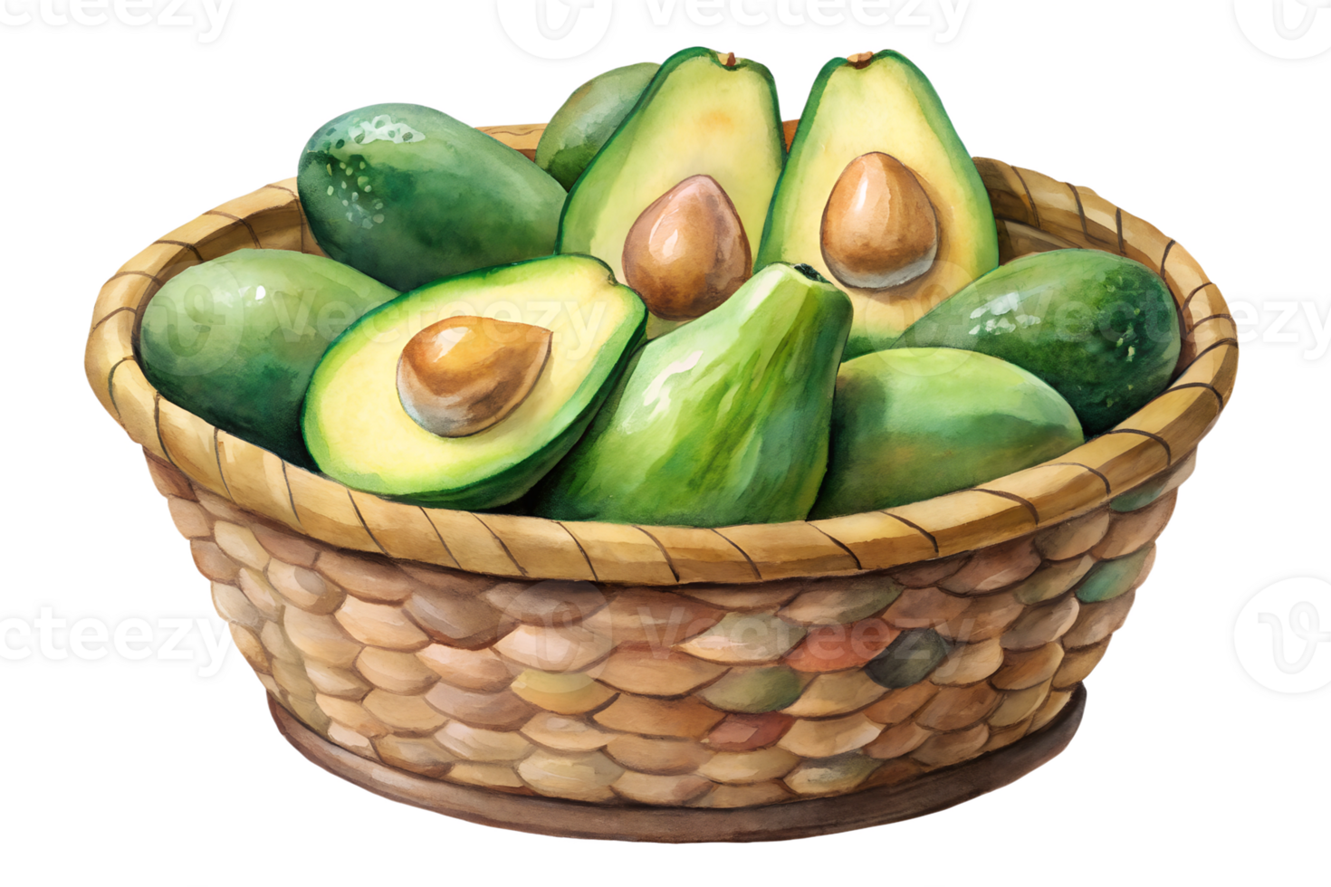 Watercolor hand drawn Lots of Avocado in a basket isolate on transparency background png
