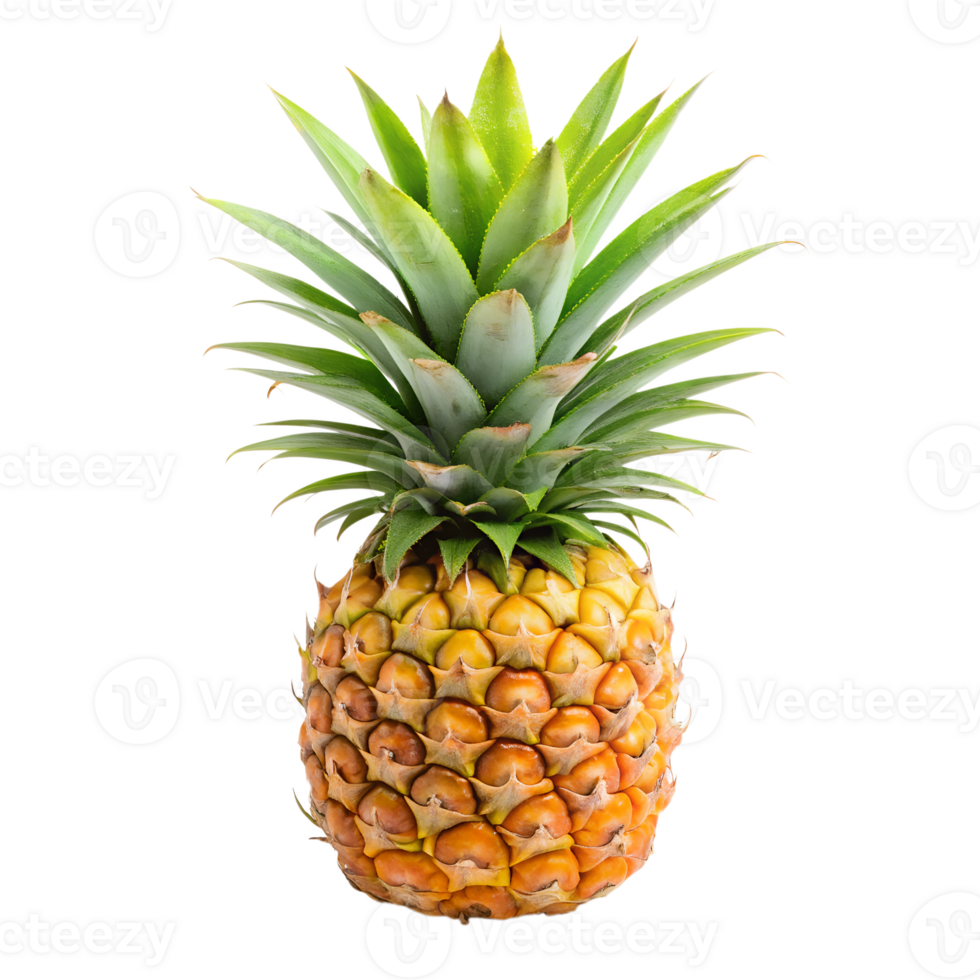 pineapple isolate on transparency background png