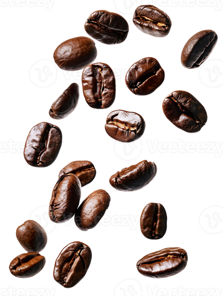 Coffee Beans Floating Isolated on Transparent png