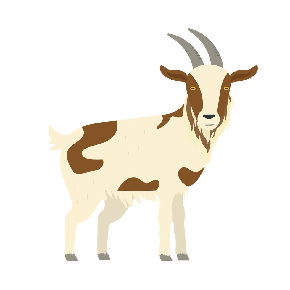 cute goat illustration vector
