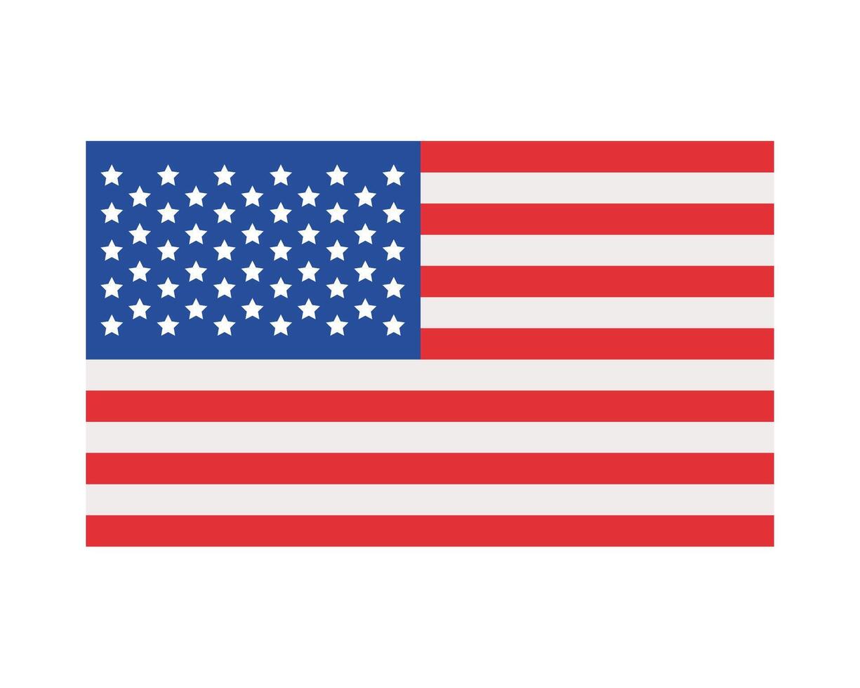 The USA flag is shown on a white background vector
