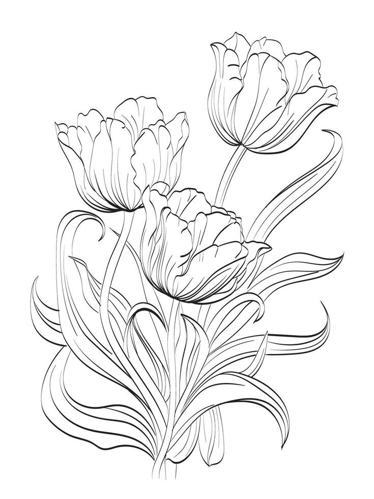 Tulip flower Illustration vector