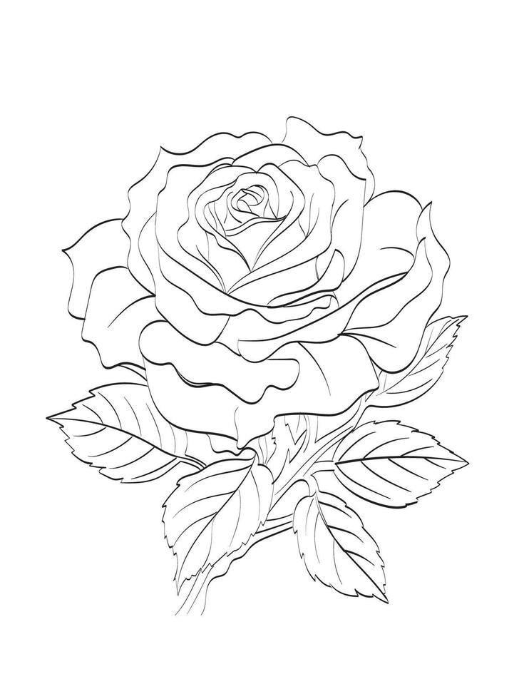 Rose flower Illustration vector