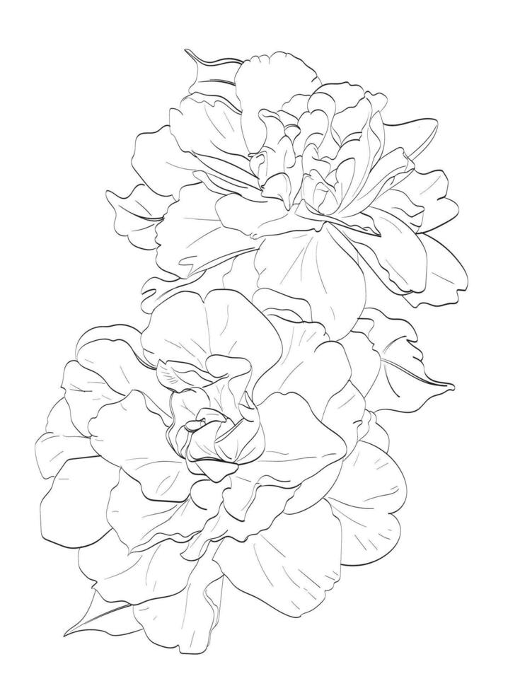 Delphinium flower Illustration vector