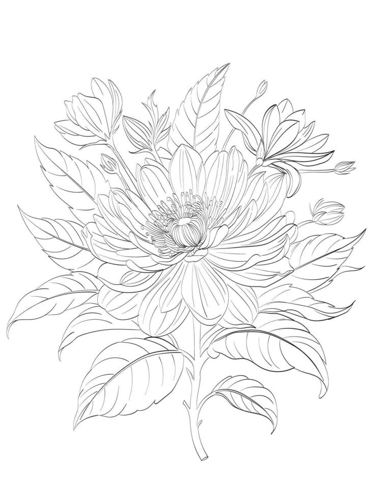 Zinnia flower Illustration vector