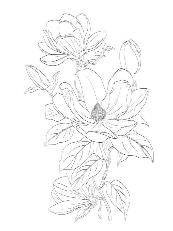 Magnolia flower Illustration vector