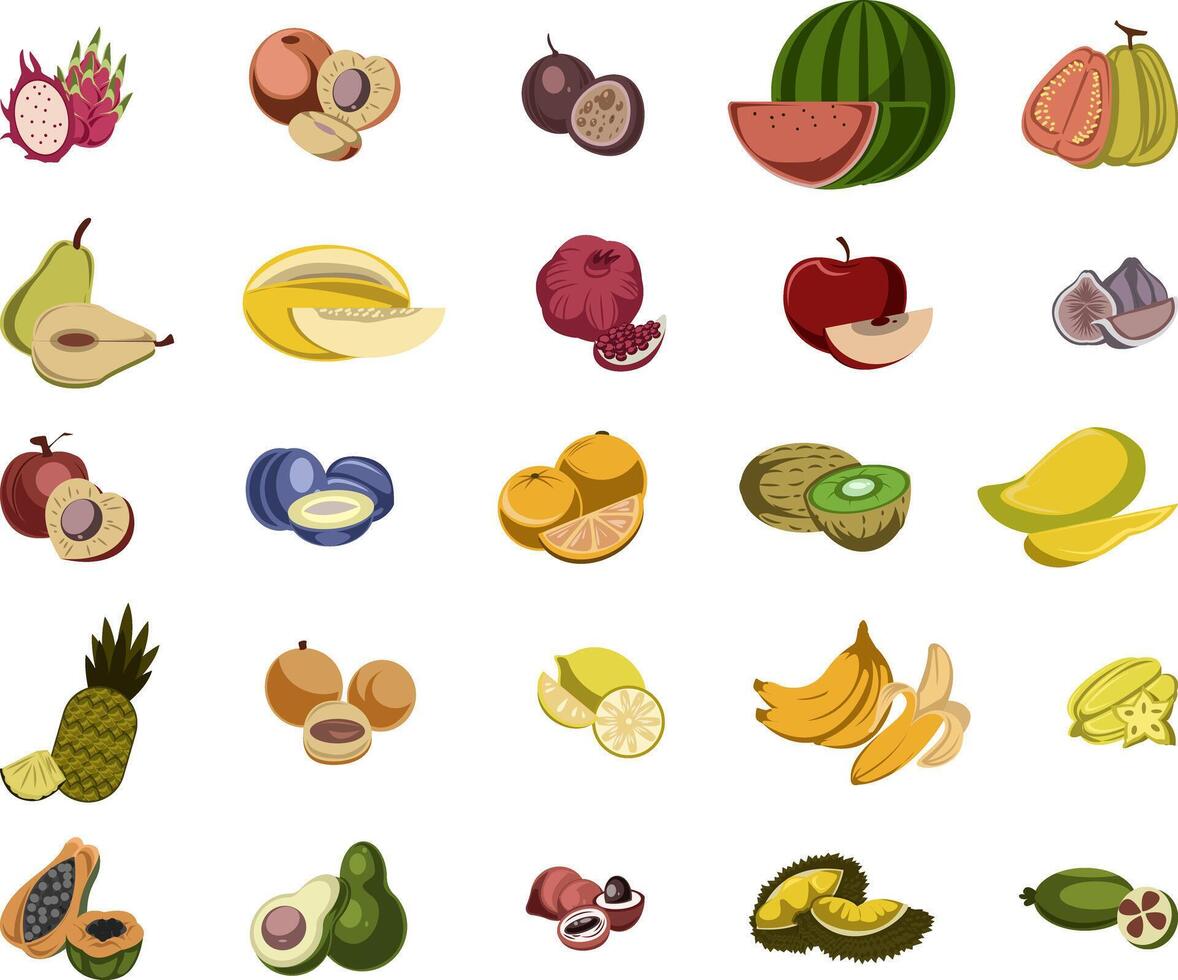 Common Fruits Collection Illustration Set vector