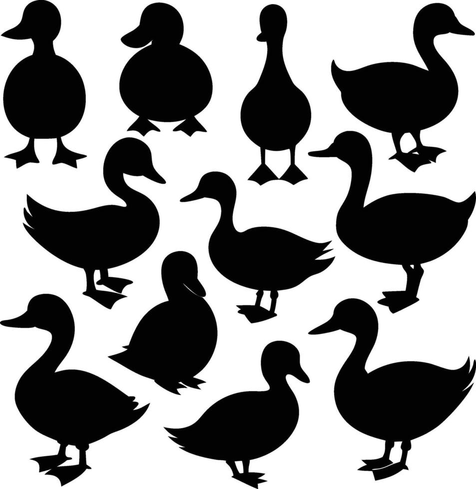 Isolated Duck Silhouettes in Various Poses on White Background vector