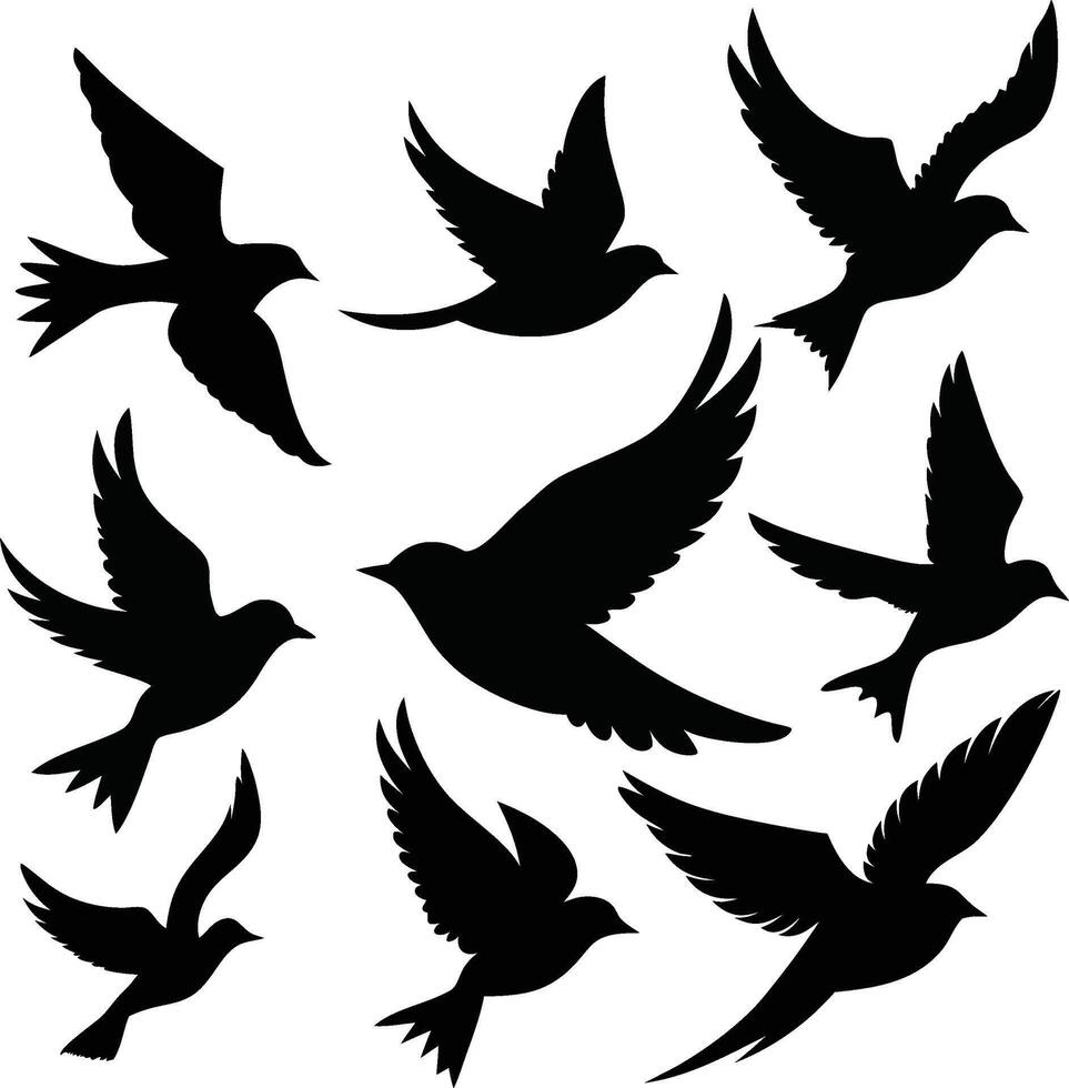 Isolated Flying Birds Silhouettes in Various Poses vector
