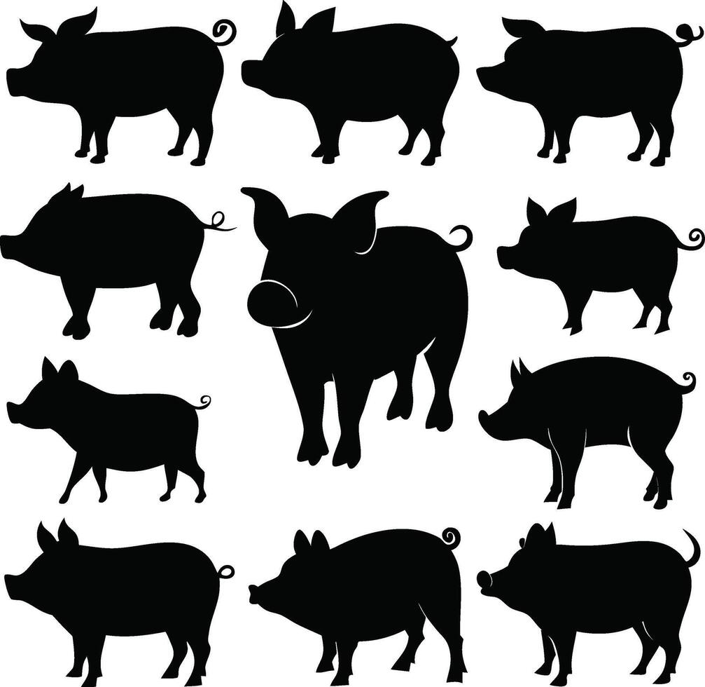 Isolated Pig Silhouettes in Various Poses vector