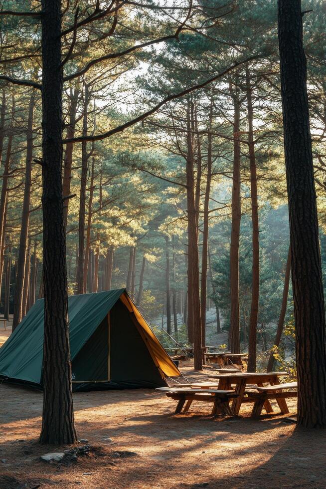 Camping in a tranquil forest with a tent and picnic table during morning light photo