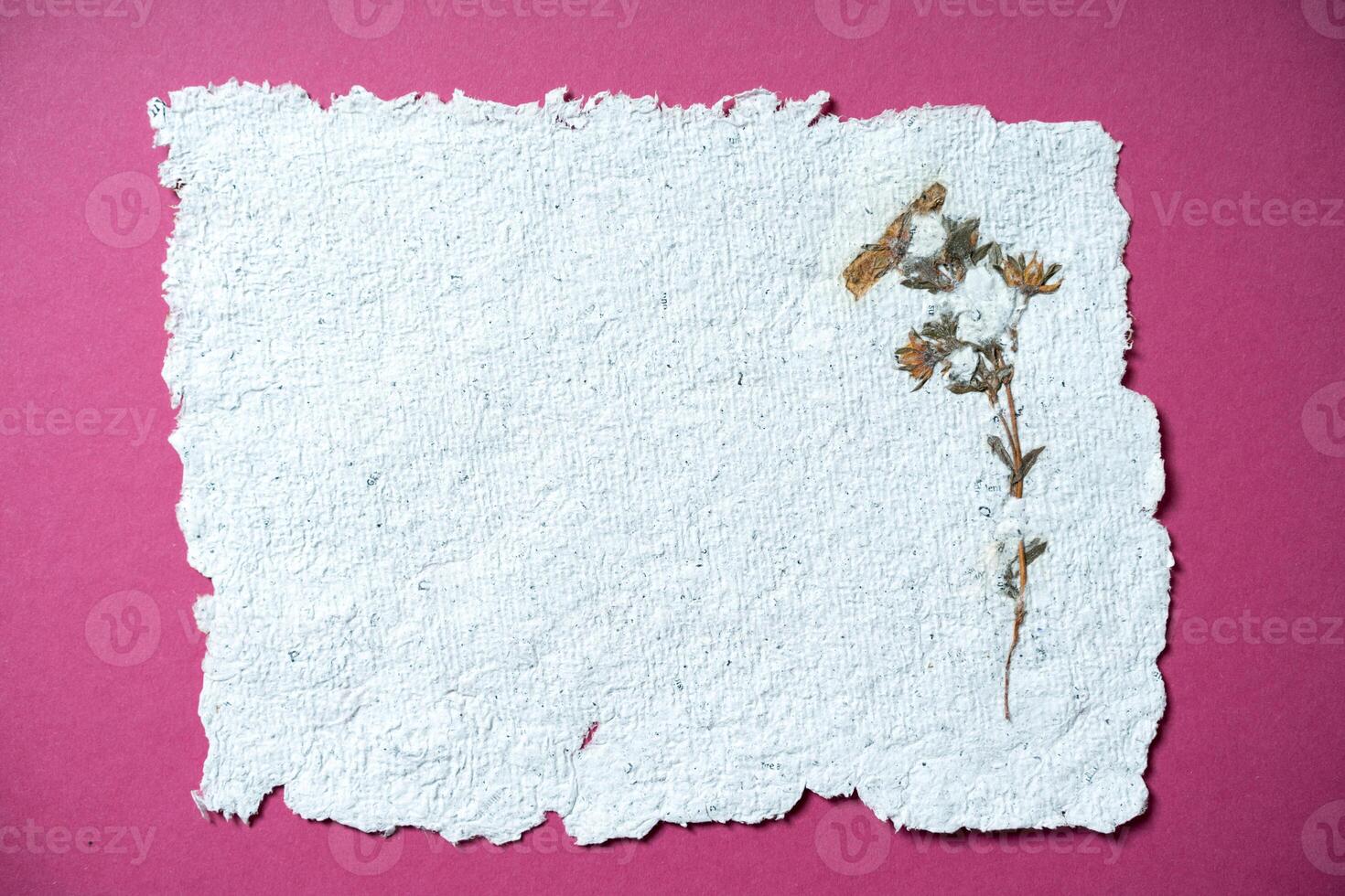 A sheet of paper with dried flowers made of recycled paper. Secondary production. Making paper with your own hands at home. photo
