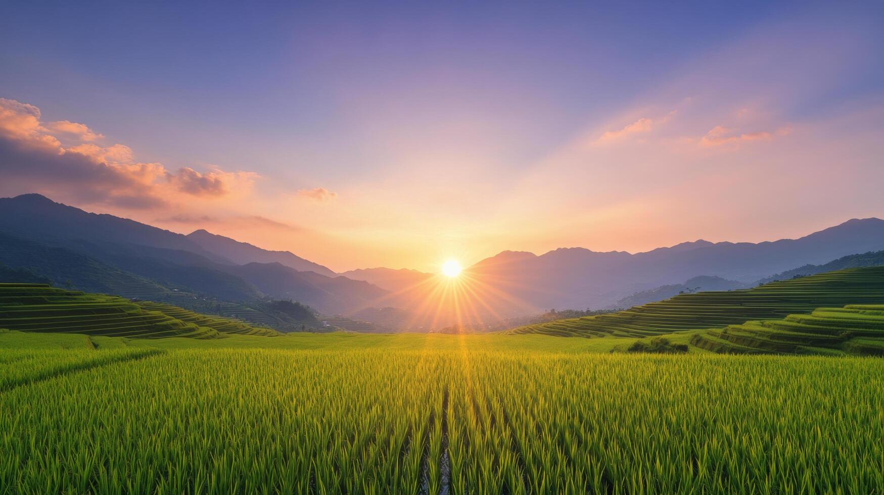Stunning sunrise over terraced rice fields in a mountainous landscape during early morning hours photo