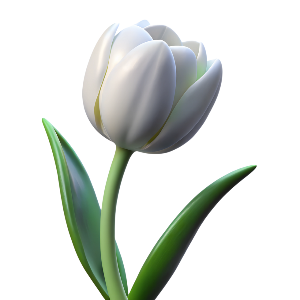 Blooming white tulip flower 3d illustration isolated on the transparent background png