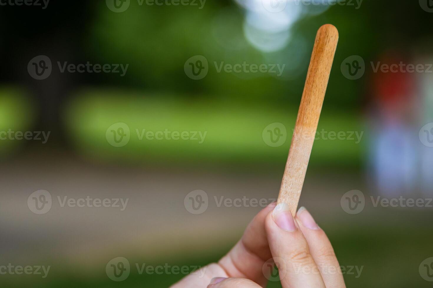 Closeup of young womans hand holding an empty wooden popsicle stick after she finished eating the ice cream. Summer day in park. Blurred natural green backdrop. Copy space photo