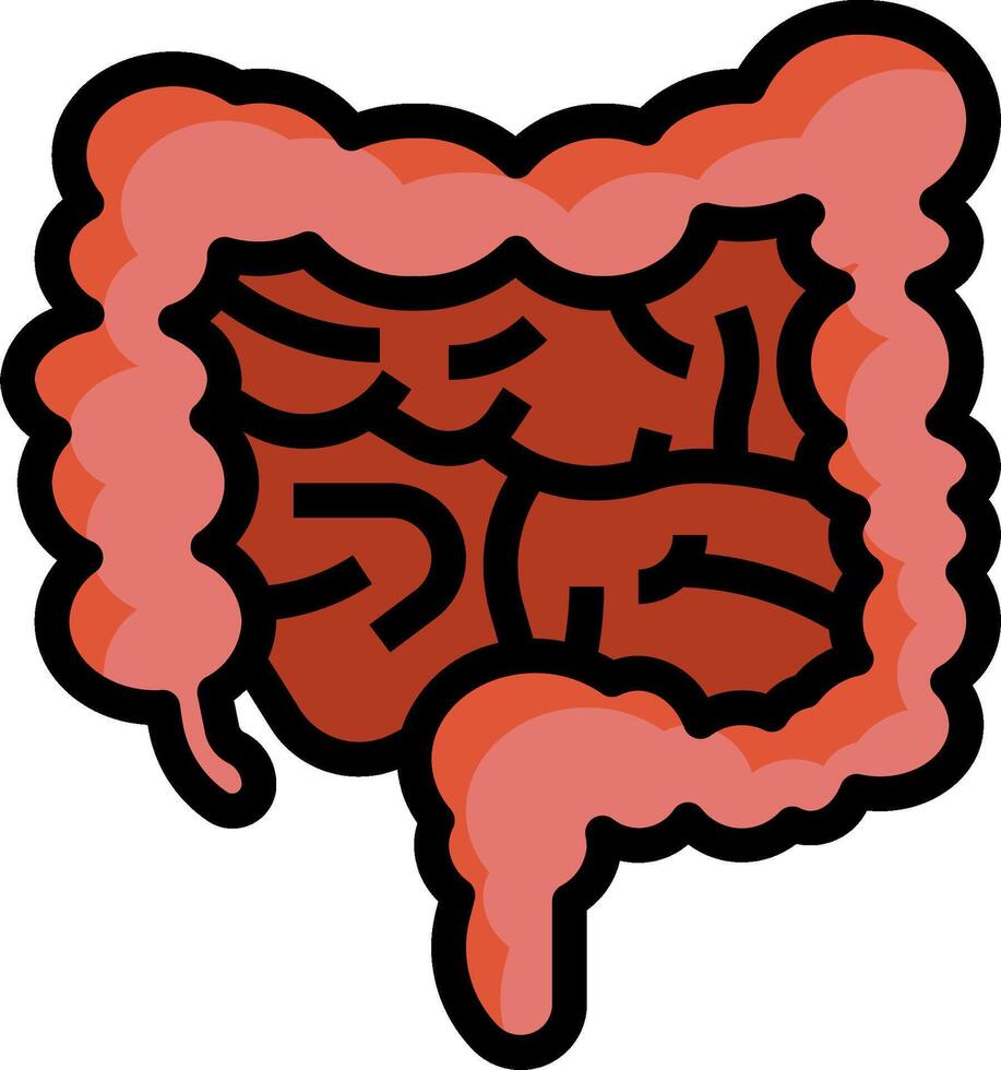 An illustration of the stomach vector