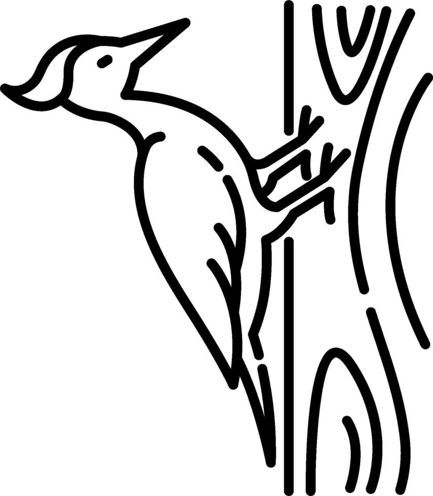 Woodpecker coloring pages vector