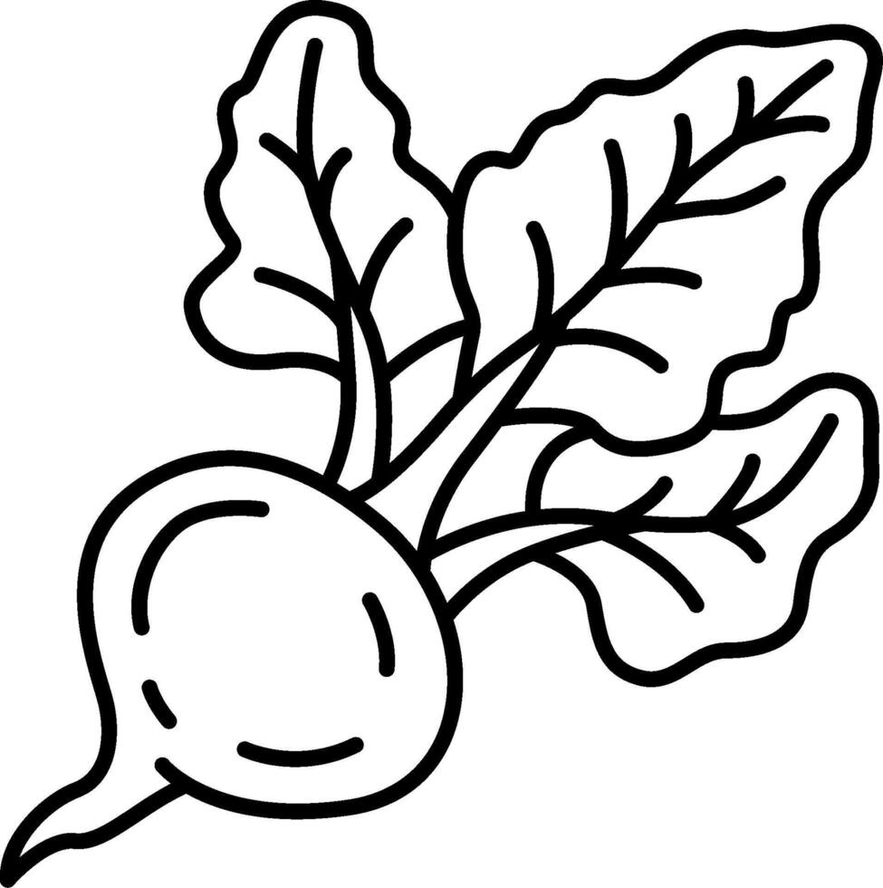 A black and white drawing of a beet vector