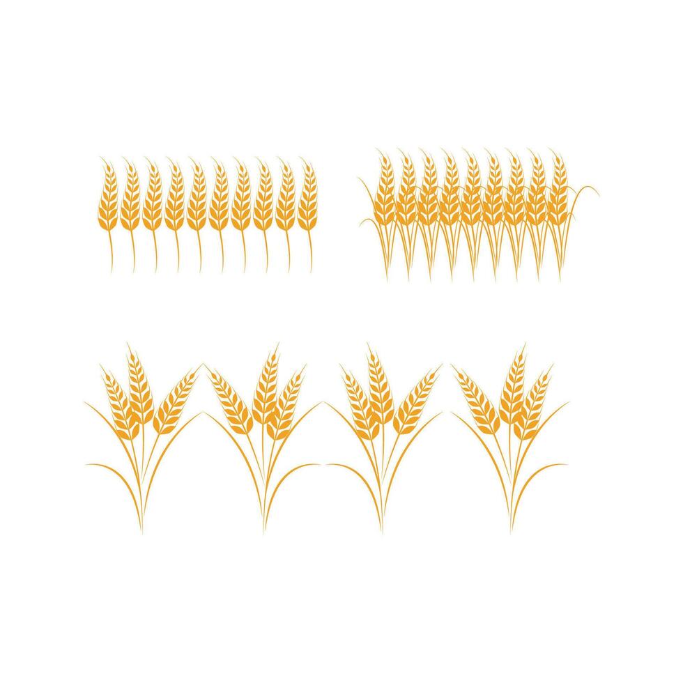 Agriculture wheat logo template and symbol vector