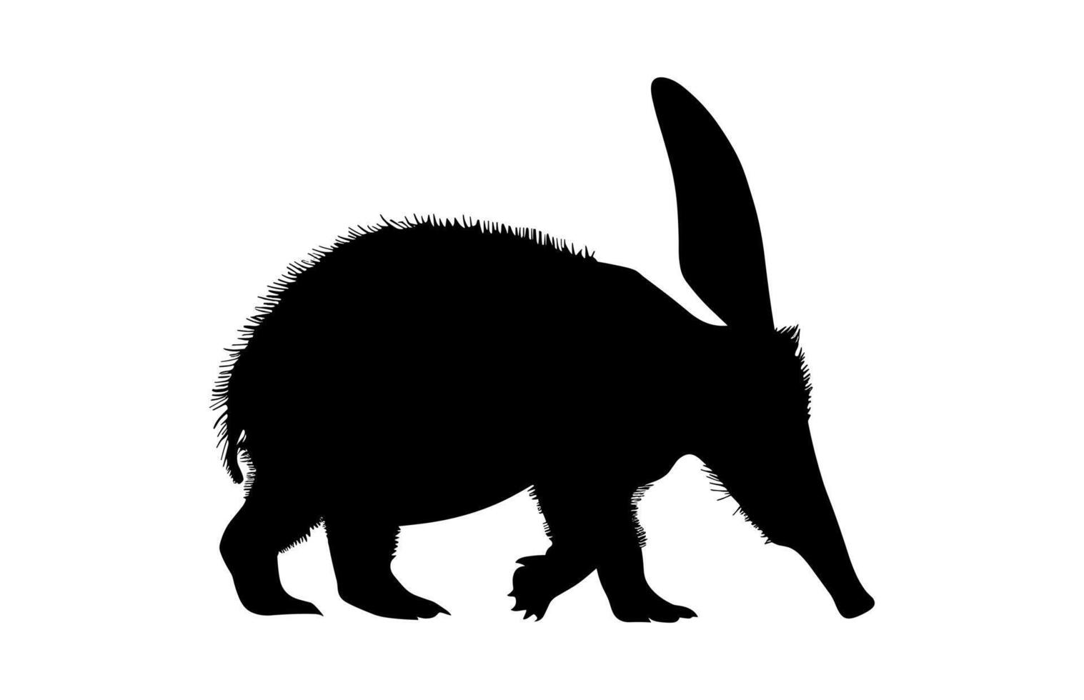 Aardvark Black Silhouette vector