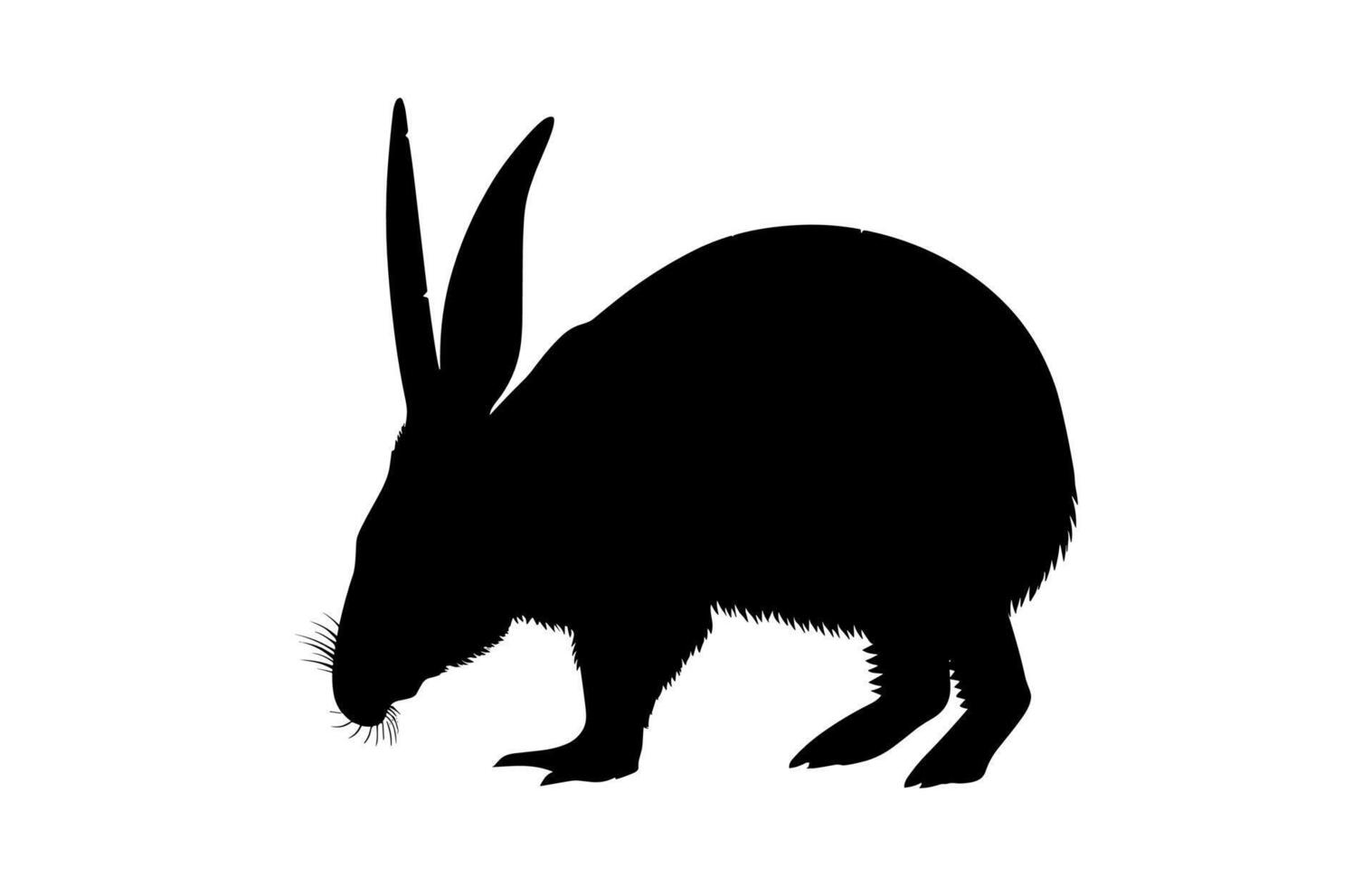 Aardvark Silhouette Clipart vector