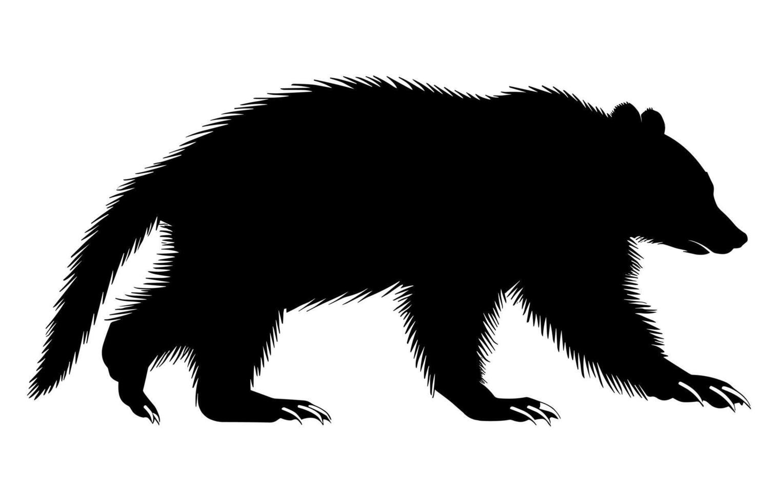 Wolverine Animal Silhouette isolated on a white background vector