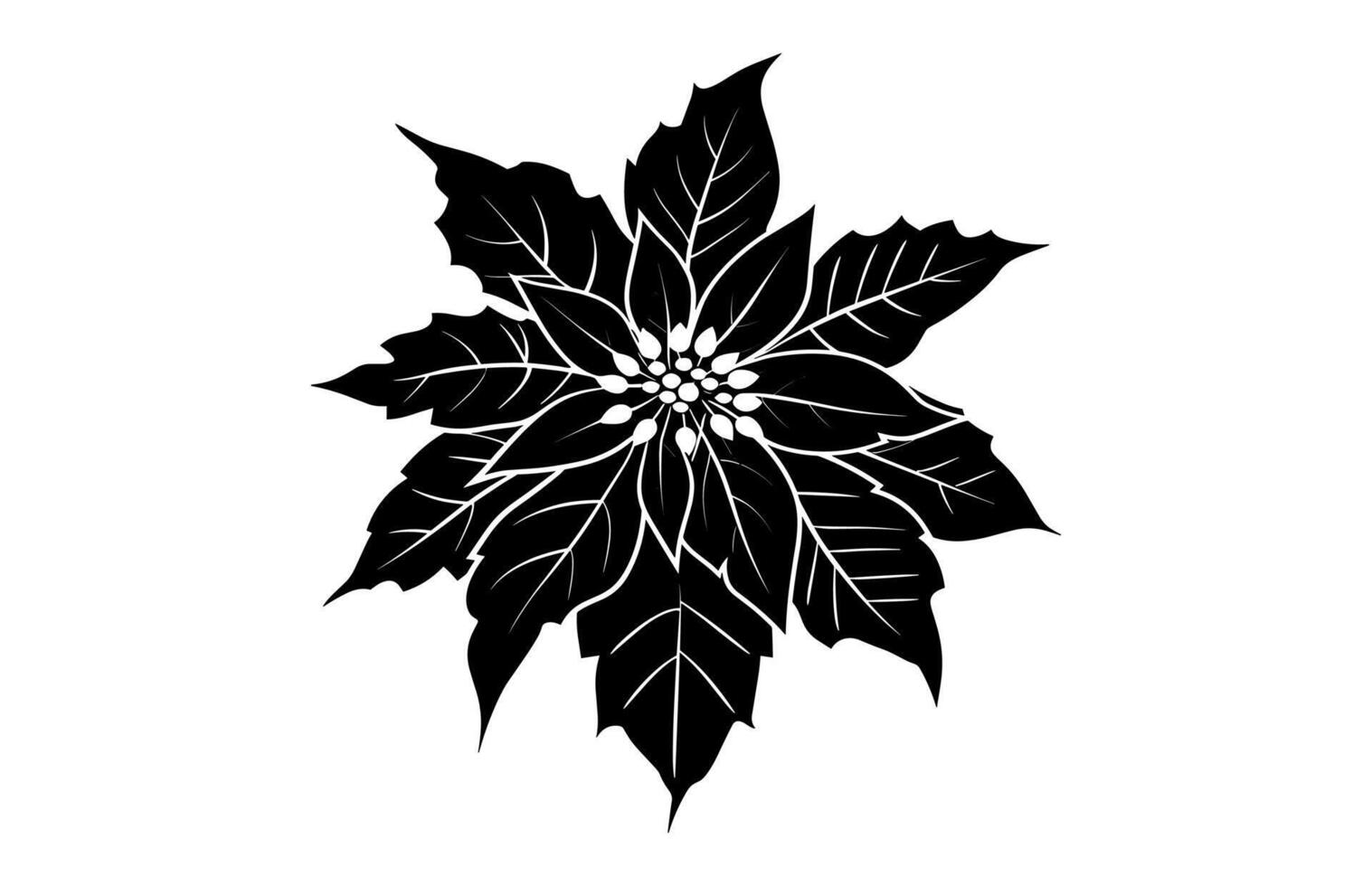 Poinsettia Flower Silhouette isolated on a white background vector