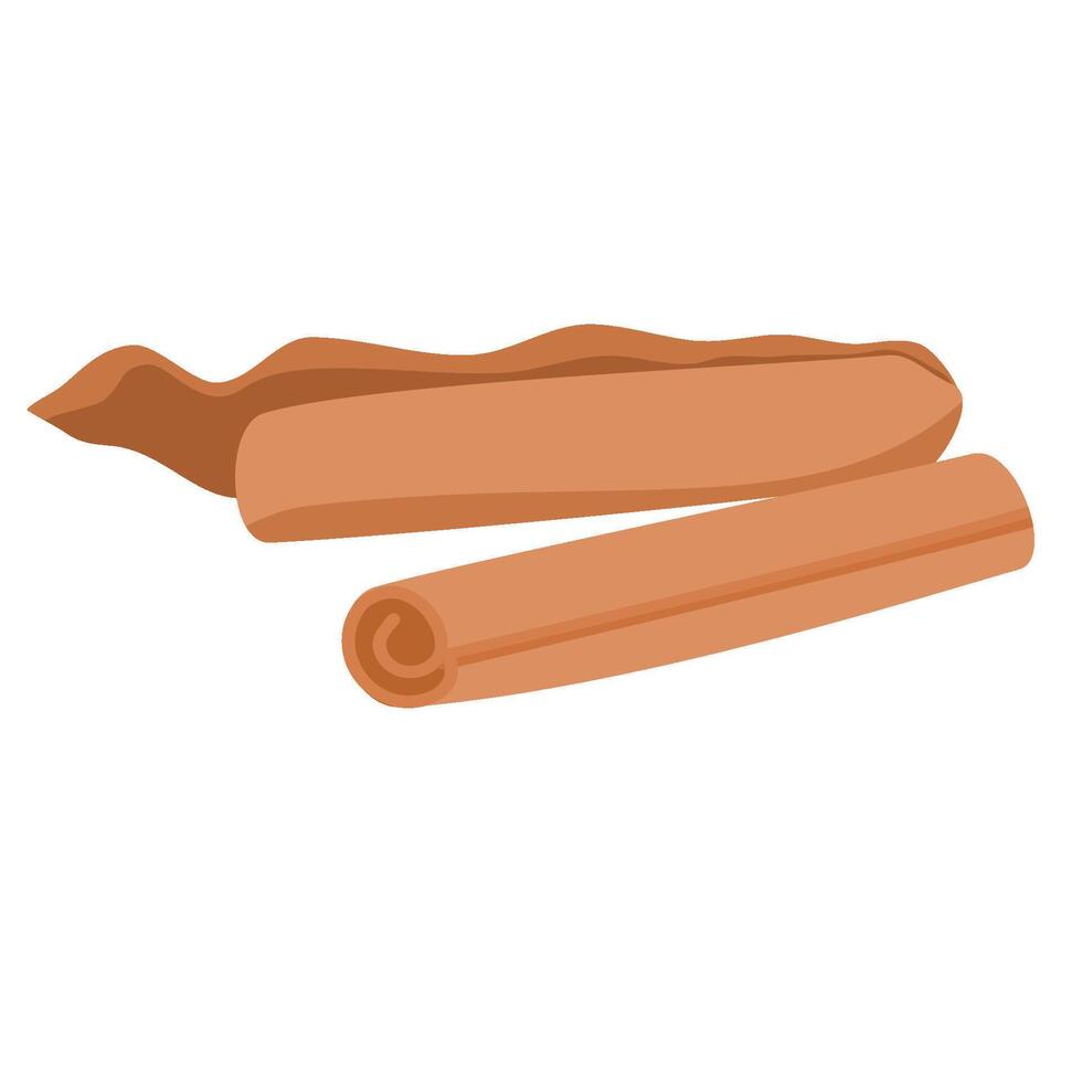 Cinnamon stick herb vector