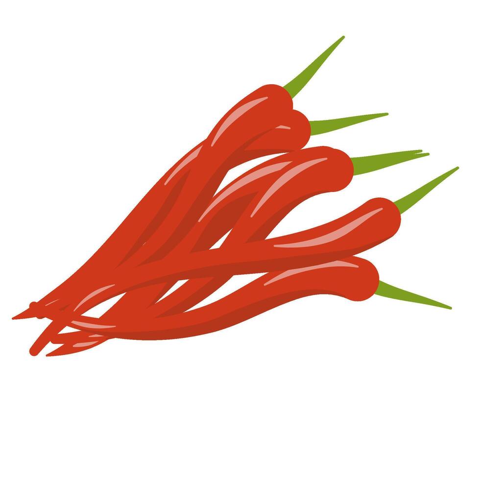 Red chili papper vector