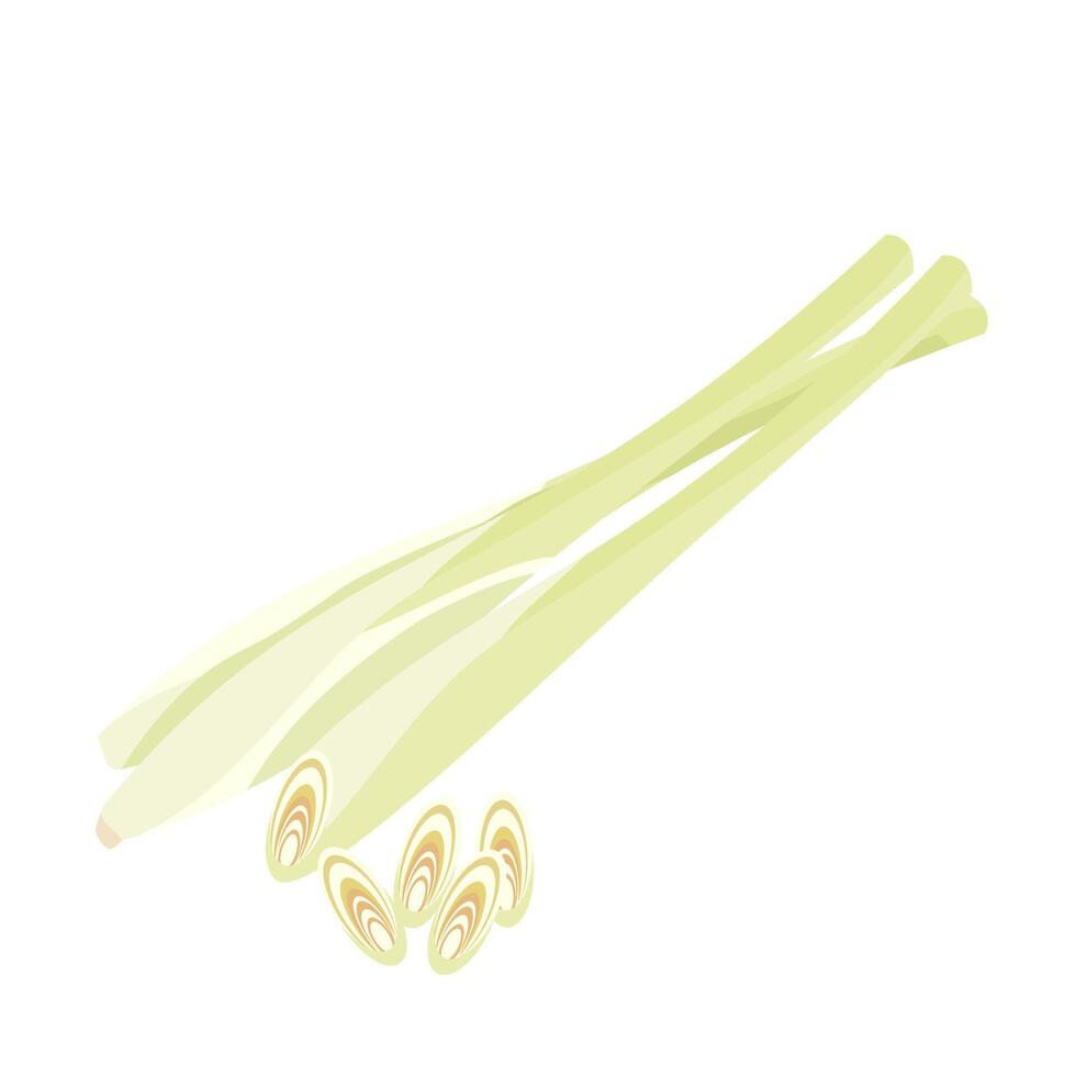Lemon grass herb vector