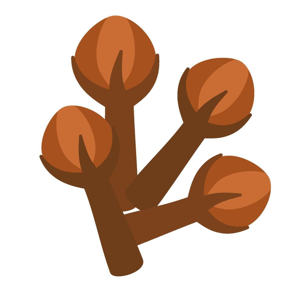 Brown cloves spice vector
