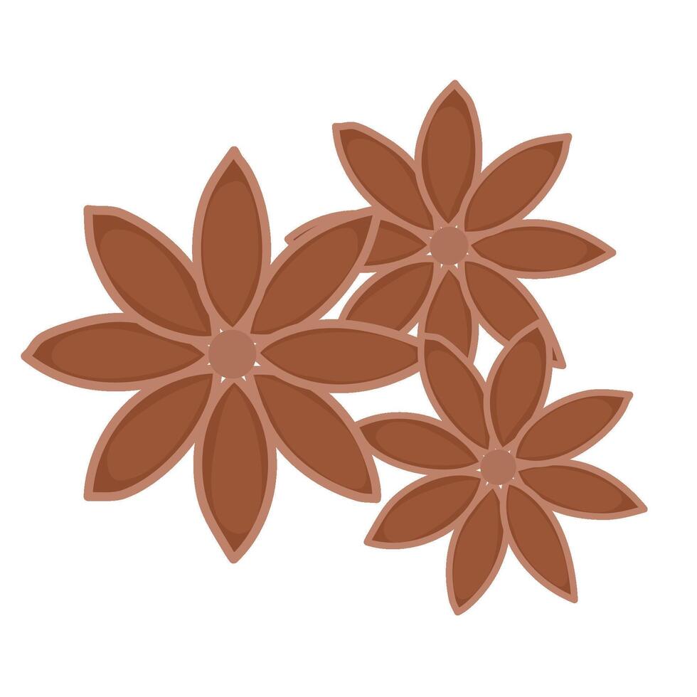 Star anise herb vector