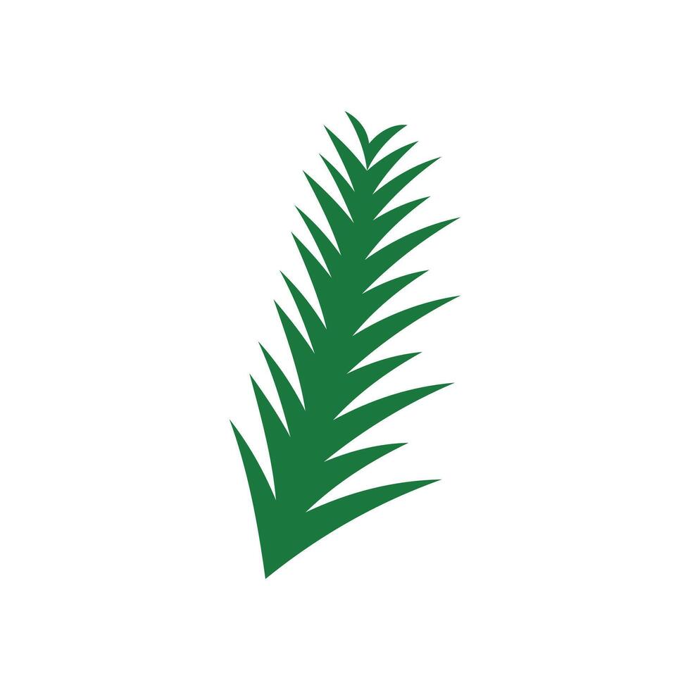 Pine leaf icon isolated on white background for your web and mobile app design. green leaf and plant illustration element design vector