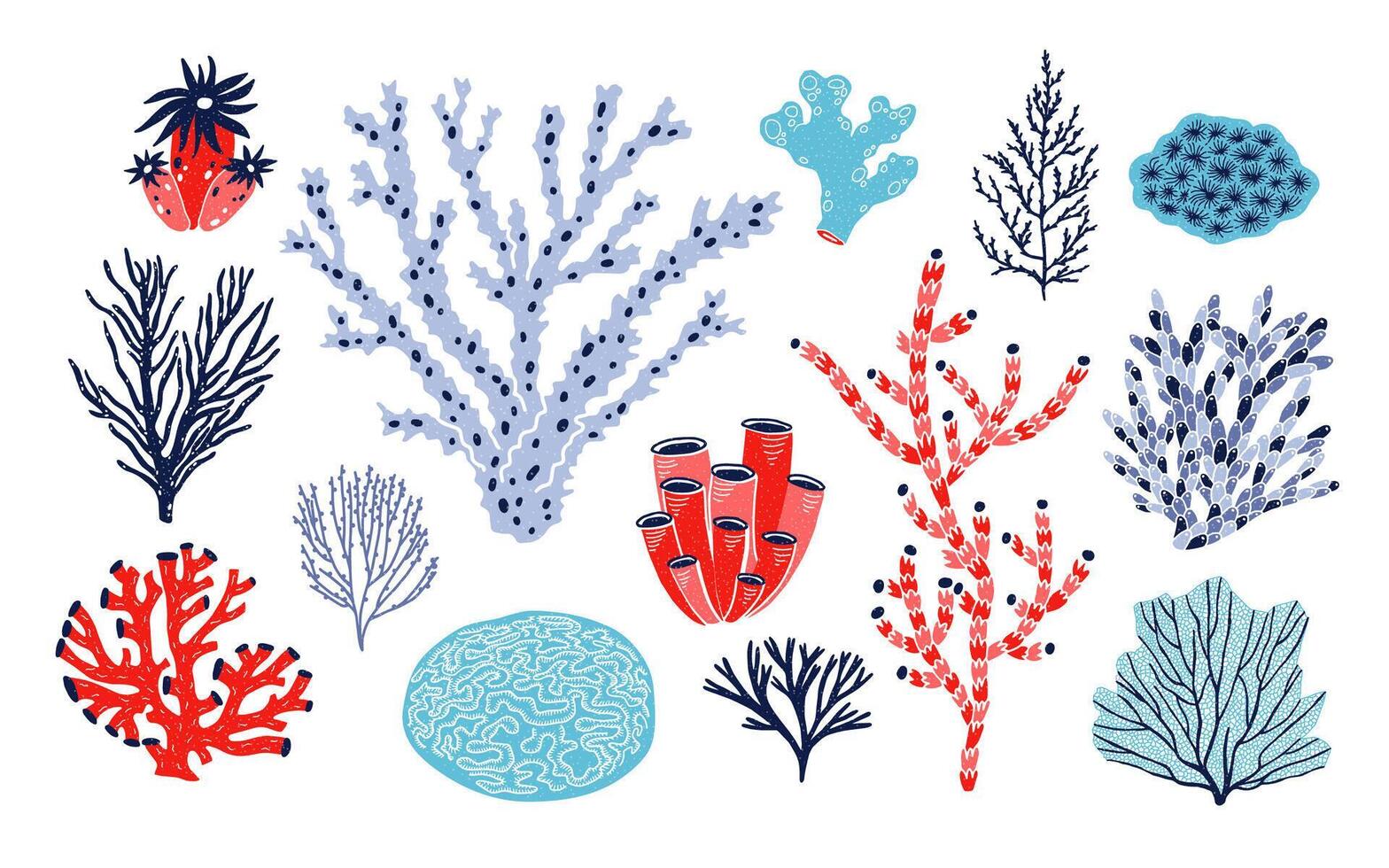 Set of different corals and seaweed or algae isolated on white background. Bundle of marine species, deep sea creatures, ocean flora and fauna. Underwater biodiversity. Colorful illustration vector