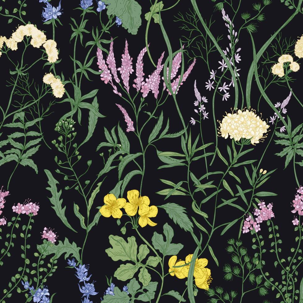 Elegant seamless pattern with trendy wild flowers and herbaceous flowering plants on black background. Beautiful floral backdrop. Colorful illustration for textile print, wallpaper. vector