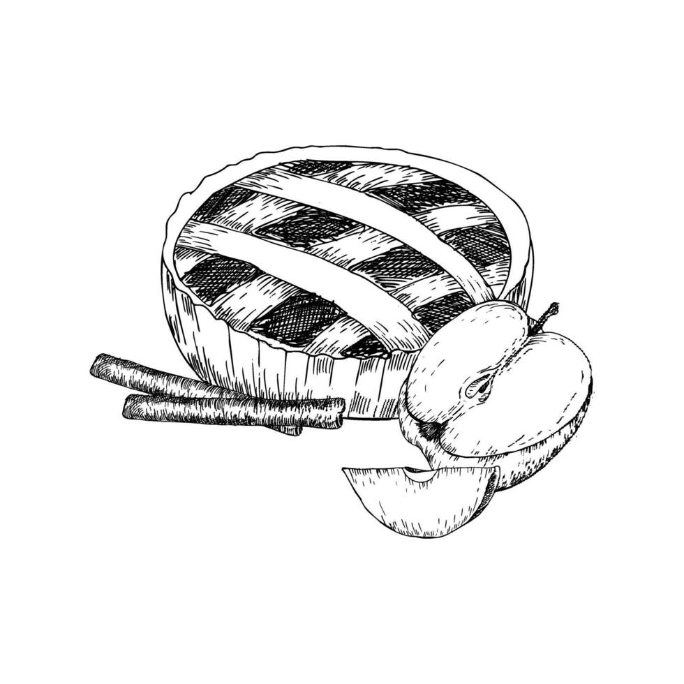 Traditional apple pie with cinnamon sticks and apple slices ink graphics. Autumn baked cake , engraving food illustration for product packing, bakery logo, label design. Line art sketch sweet food vector