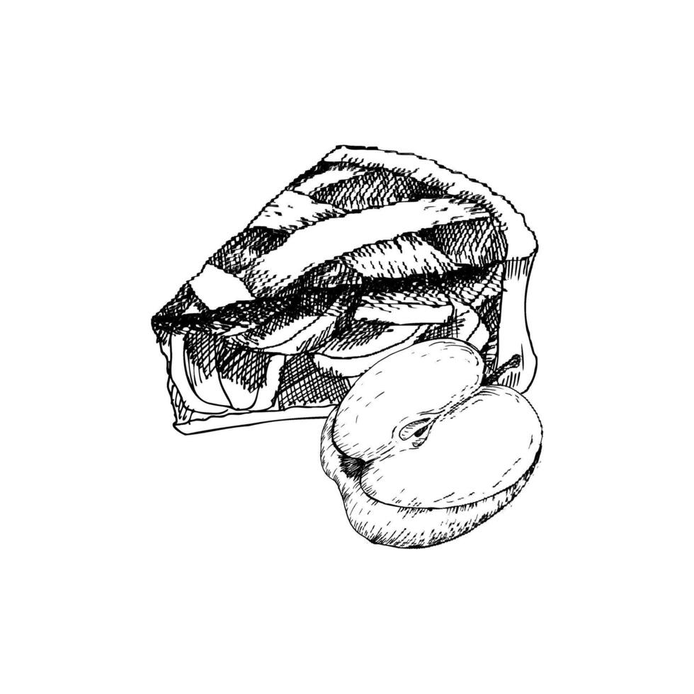 ink autumn apple pie piece with half apple composition. Hand drawn line art graphics, sweet Thanksgiving cake illustration for bakery, cafe seasonal menu design. vector