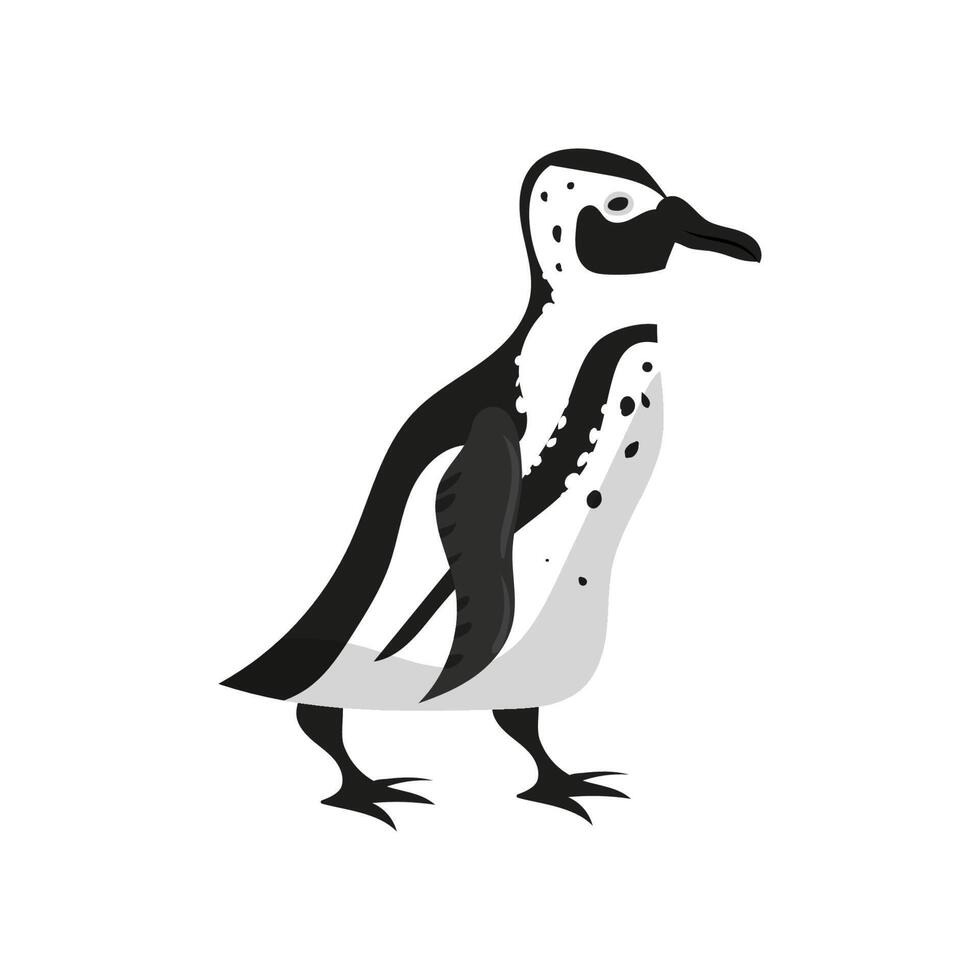 A penguin is standing on a white background vector