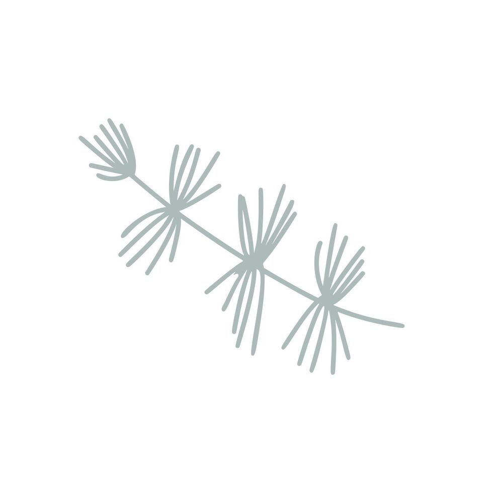 christmas branch pine tree element hand drawn winter illustration vector
