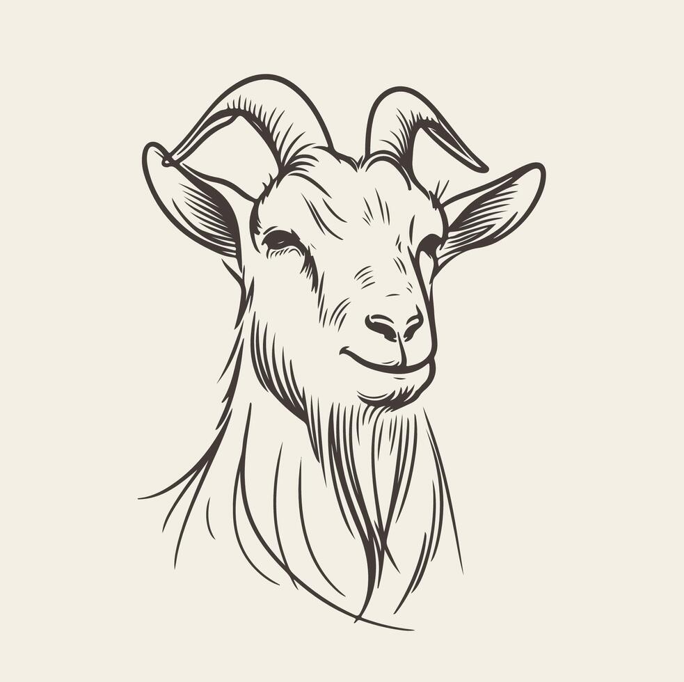Charming Hand Drawn Goat Face Sketch An Artistic Delight vector