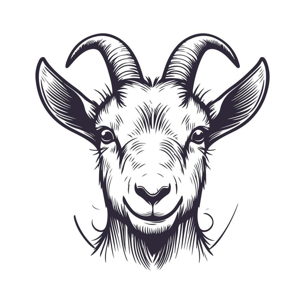 Unique Hand Drawn Goat Face Art An Expression of Nature vector