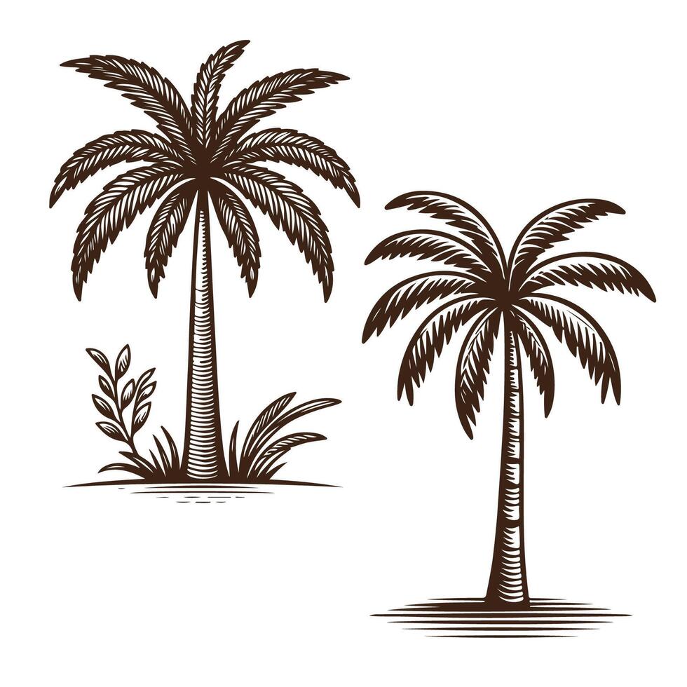 Stylish Palm Tree Art Collection vector